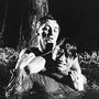 Bernard Herrmann: Cape Fear (O.S.T.) (Limited-Edition), LP