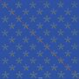 Nik Turner (Hawkwind): Xitintoday [GOLD], LP