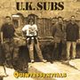 UK Subs : Quintessentials (Limited Edition) (Yellow & Black Splatter Vinyl), LP
