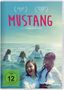 Deniz Gamze Ergüven: Mustang, DVD