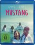 Mustang (Blu-ray), Blu-ray Disc
