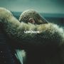 Der Text "LEMONADE" ist zentral. Eine Person mit geflochtenem Haar trägt einen luxuriösen Pelzmantel., 1 CD und 1 DVD
