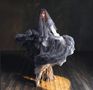 Keine Texte sichtbar. Eine Frau in einem fließenden, durchsichtigen Kleid steht auf einem Holzboden., 3 LPs