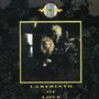 Blonde On Blonde: Labyrinth Of Love, CD