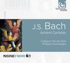 Johann Sebastian Bach: Kantaten BWV 36,61,62, CD