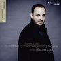 Franz Schubert: Lied-Edition Vol.6 (Matthias Goerne) - Schwanengesang D.957, CD,CD