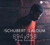 Franz Schubert: Klaviersonaten D.894 & 958, CD