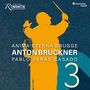 "ANIMA ETERNA BRUGGE ANTON BRUCKNER PABLO HERAS-CASADO 3". Silhouette eines Dirigenten in Orange auf blauem Hintergrund.