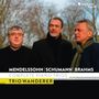 : Trio Wanderer - Complete Piano Trios (Mendelssohn, Schumann, Brahms), CD,CD,CD
