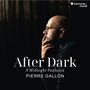 Texte: "After Dark", "A Midnight Fantasia", "PIERRE GALLON", "harmonia mundi". Ein Mann im Profil denkt nach, im dunklen Raum., CD