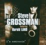 Steve Grossman (1951-2020): I'm Confessin', CD