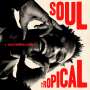 David Walters: Soul Tropical, 2 LPs