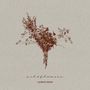 Text: "wildflowers" und "LONER DEER". Illustration von braunen Wildblumen auf grauem Hintergrund., CD