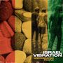 „Israel Vibration Unconquered People“. Rote, gelbe, grüne Streifen mit Steinen und drei Personen von hinten.