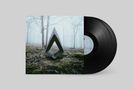 Ein schwarzes Vinyl mit Text "SOMOS" auf hellblauem Label. Das Cover zeigt einen nebligen Wald mit einer dreieckigen Skulptur., 2 LPs