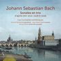 "Johann Sebastian Bach. Sonates en trio. Les Curiosités esthétiques. Ansicht der Stadtsilhouette an einem Fluss.", CD