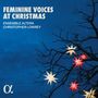 "Feminine Voices at Christmas", Ensemble Altera, Christopher Lowrey. Baum mit leuchtenden Sternen vor dunklem Himmel., CD
