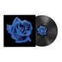 Eine Illustration einer blauen Rose auf schwarzem Hintergrund, abgebildet auf einem Schallplattencover und einer Schallplatte., LP