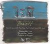 Carl Philipp Emanuel Bach (1714-1788): Flötenkonzerte Wq.163,166,167, CD