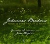 Johannes Brahms (1833-1897): Sonaten für Violine & Klavier Nr.1-3, CD