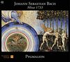 Johann Sebastian Bach: Missa 1733, CD