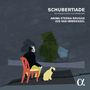 Franz Schubert (1797-1828): Schubertiade (Lieder & Instrumentalwerke), 4 CDs