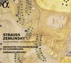 Alexander von Zemlinsky: Die Seejungfrau (Fantasie nach Andersen), CD