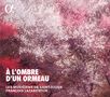 Brunnettes & Contredanses aus dem 18.Jahrhundert - A L'Ombre d'un Ormeau, CD