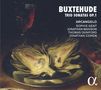 Dieterich Buxtehude (1637-1707): Triosonaten op.1 Nr.1-7, CD
