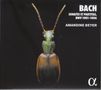 Johann Sebastian Bach: Sonaten & Partiten für Violine BWV 1001-1006, CD,CD