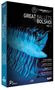 : Bolshoi Ballett - Great Ballets From The Bolshoi Vol.2, DVD,DVD,DVD,DVD