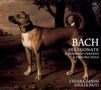 Johann Sebastian Bach: Sonaten für Violine & Cembalo BWV 1014-1017, 2 CDs