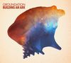 Groundation: Building An Ark, CD