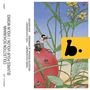 Robert Schumann (1810-1856): Collection Schumann - Violin Works, 2 CDs