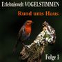 Vögel: Erlebniswelt Vogelstimmen Folge 1, CD