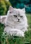 Stefan Heine: Stefan Heine Katzen Quizkalender 2022 Wochenkalender - 23,7x34, KAL