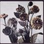 Heinz Sauer: Metal Blossoms, CD