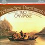 Trio Cantabile - Böhmisches Divertimento, CD