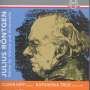 Julius Röntgen (1855-1932): Kammermusik für Violine & Cello, 3 CDs