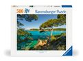 Adult puzzle 500 Teile - Schöne Aussicht, Diverse