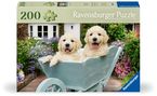 Ravensburger Puzzle 12001368 - Golden Retriever - 200 Teile Hunde-Puzzle für ältere Menschen und Senioren, mit größeren, griffigen Puzzleteilen, großer Bildvorlage und stabiler Unterlage zum Puzzeln, Diverse