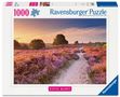 Ravensburger Puzzle 12001763 - Traumpfad in Rosa, Beautiful Walkways Collection, 1000 Teile Puzzle für Naturliebhaber und Wanderfreunde ab 14 Jahren, Spiele