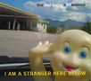 The Dad Horse Experience: I Am A Stranger Here Below, CD
