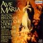 Anton Bruckner: 14 lateinische Motetten, CD