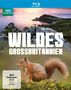 : Wildes Großbritannien (Blu-ray), BR