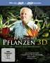 Im Reich der Pflanzen (3D & 2D Blu-ray), Blu-ray Disc