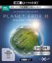 Planet Erde 2: Eine Erde - Viele Welten (Ultra HD Blu-ray & Blu-ray), Ultra HD Blu-ray