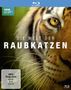 Die Welt der Raubkatzen (Blu-ray), Blu-ray Disc