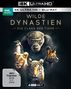 Nick Lyon: Wilde Dynastien - Die Clans der Tiere (Ultra HD Blu-ray & Blu-ray), UHD,UHD,BR,BR