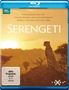Serengeti (2019) (Blu-ray), Blu-ray Disc